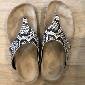 Vince snake print shoes